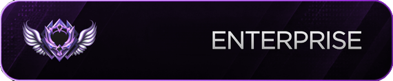Enterprise